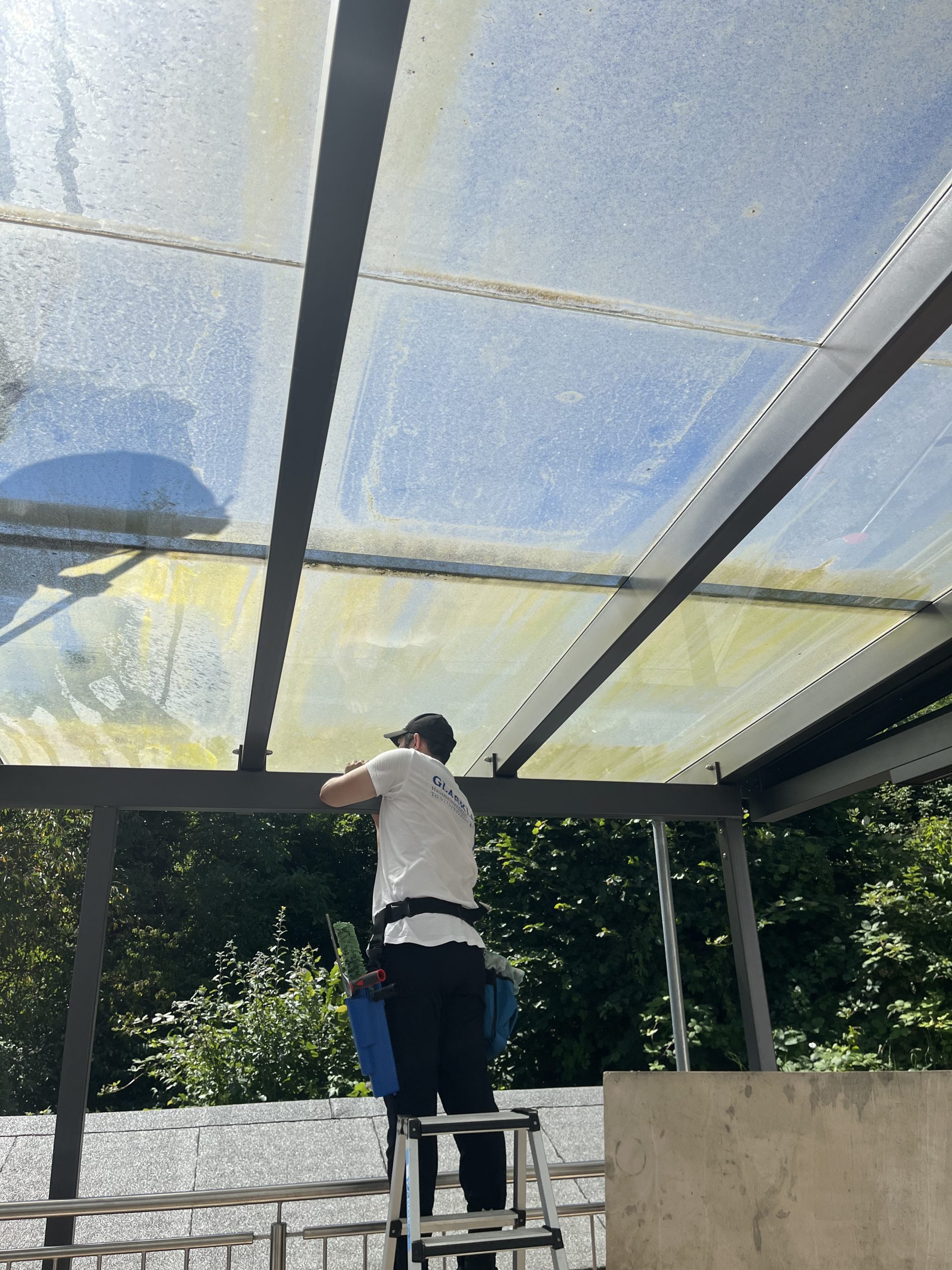 Spezialreinigungen vom Experten